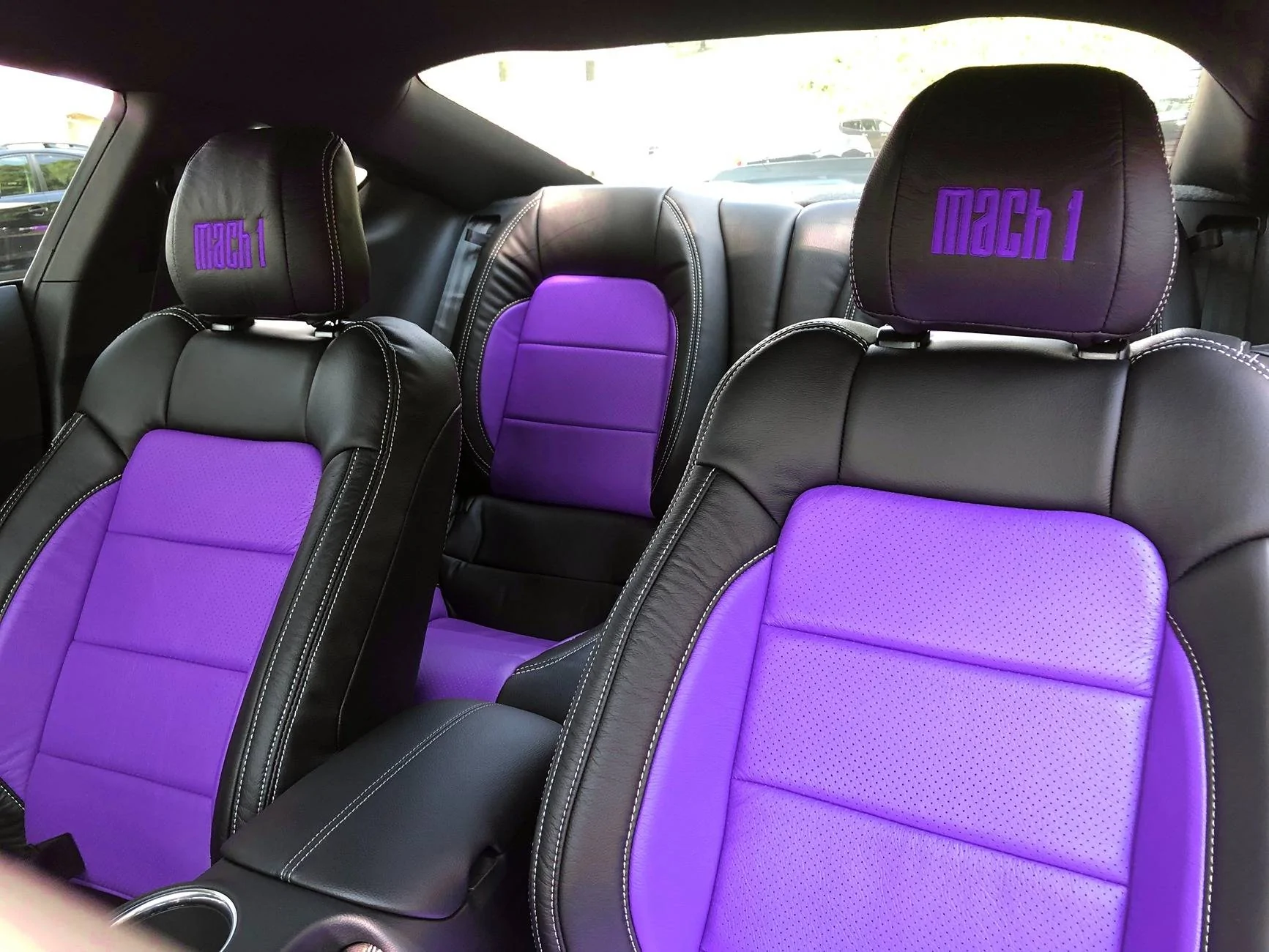 IMG_5196 purple.jpg