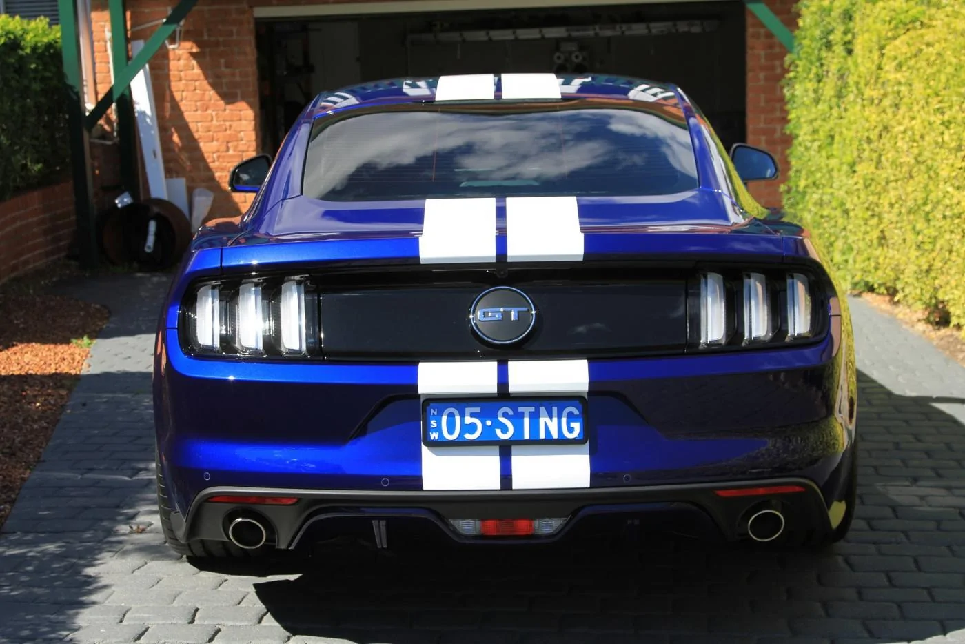 IMGL3386a.webp