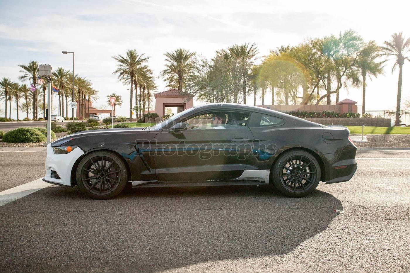 GT350 Mustang-1.jpg