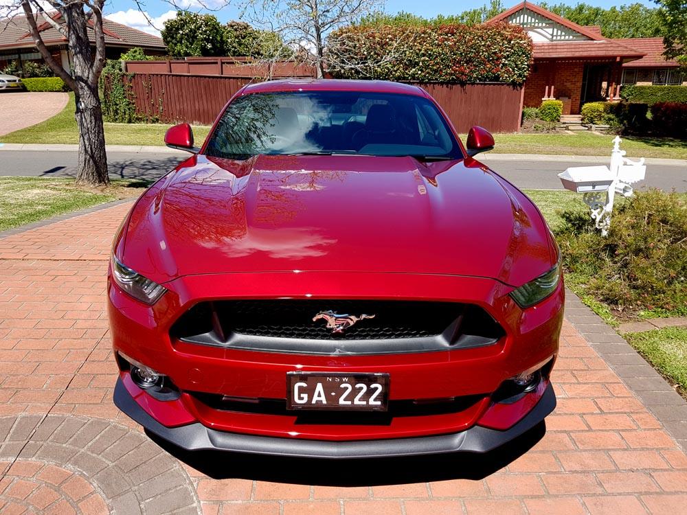 Mustang 2.jpg