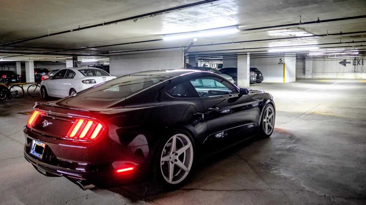DSCF8291.webp