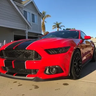 mustang1.webp