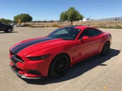 mustang 2.webp