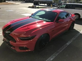 mustang4.webp