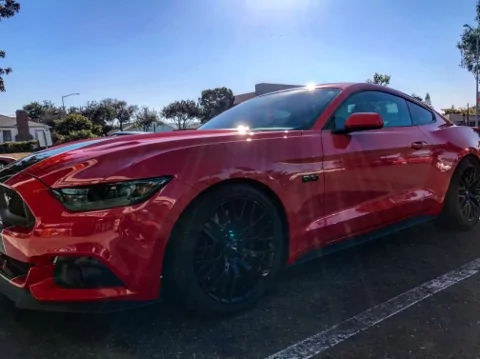 mustang3.webp