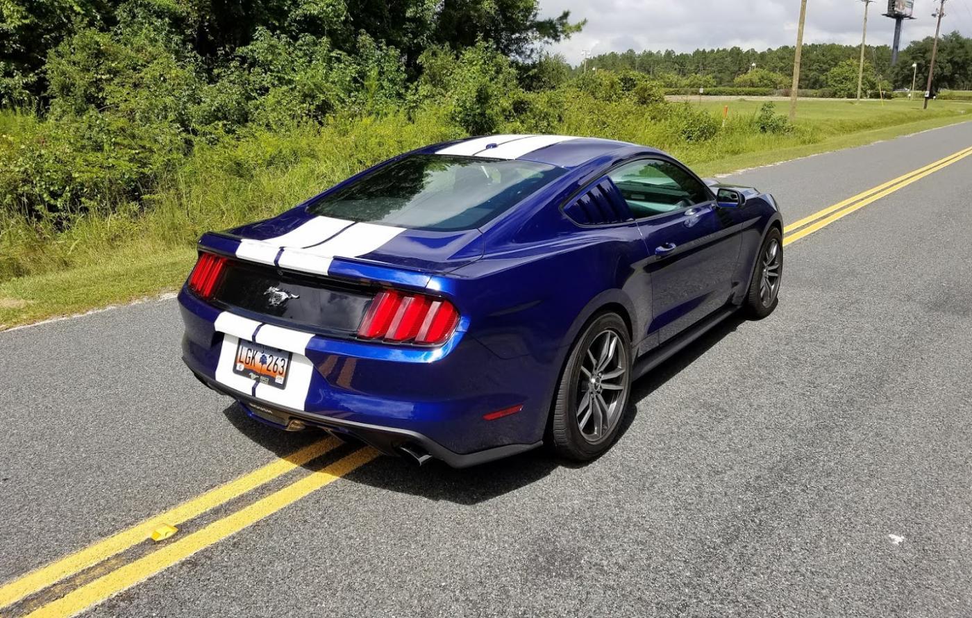 2015-passenger-rear.jpg