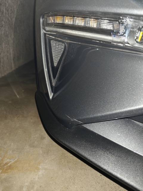 IMG20241221192048 Medium.jpeg