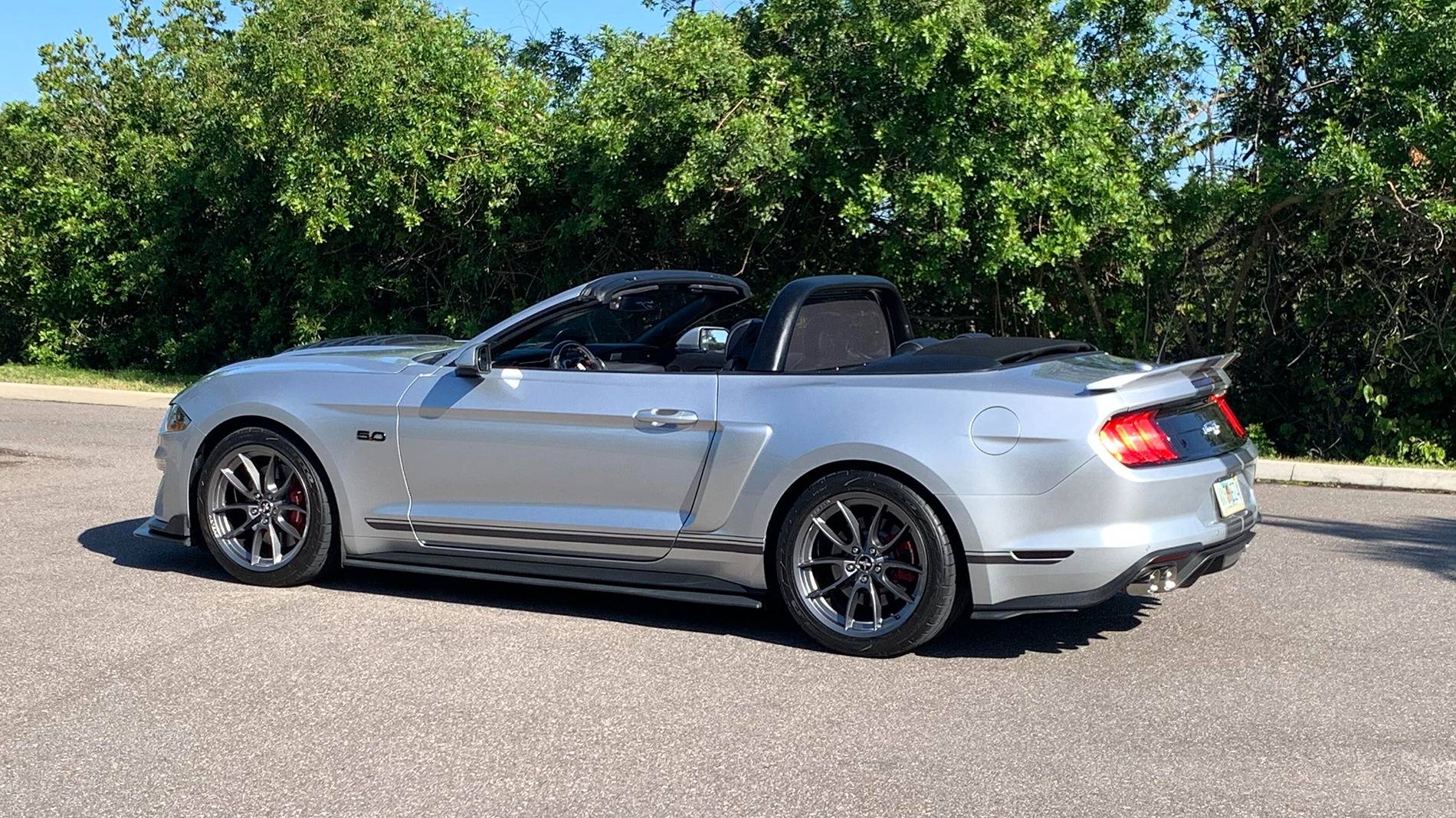 Mustang (54).jpg
