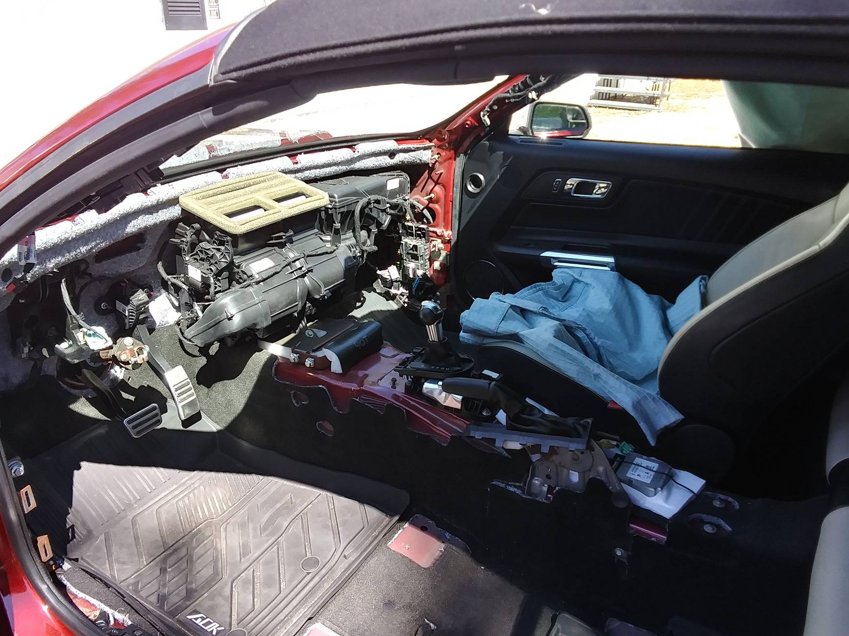 20250317_151002_HDR[1].jpg