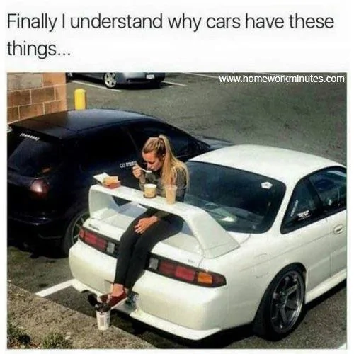 1742406309659-8r.webp