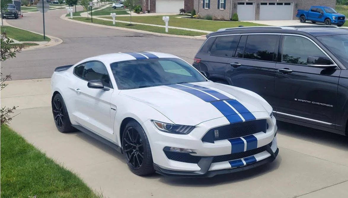 mustang.JPG