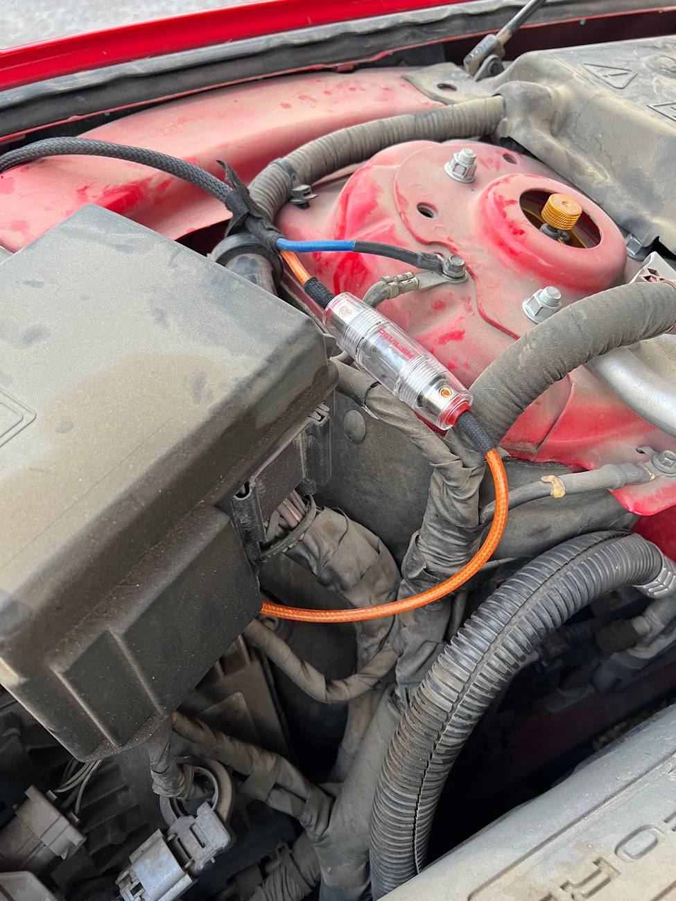 IMG_7575.jpg