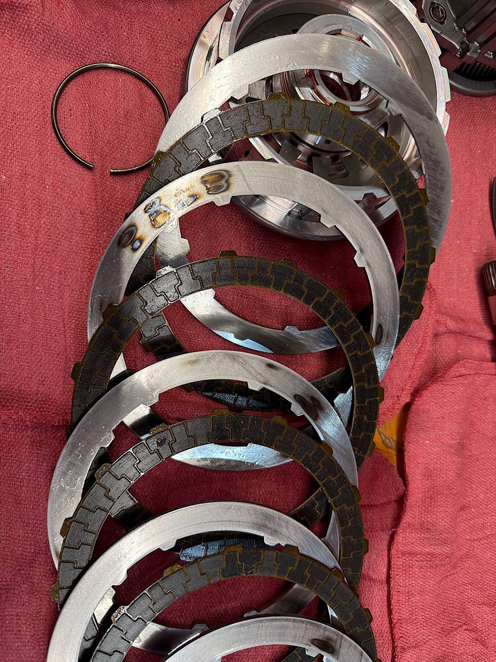 IMG_2025-03-30-174835.jpeg