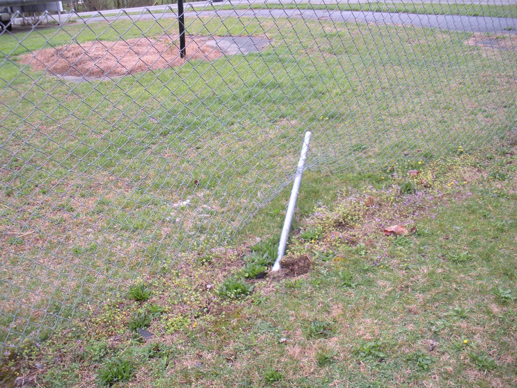 DSCN9238.JPG