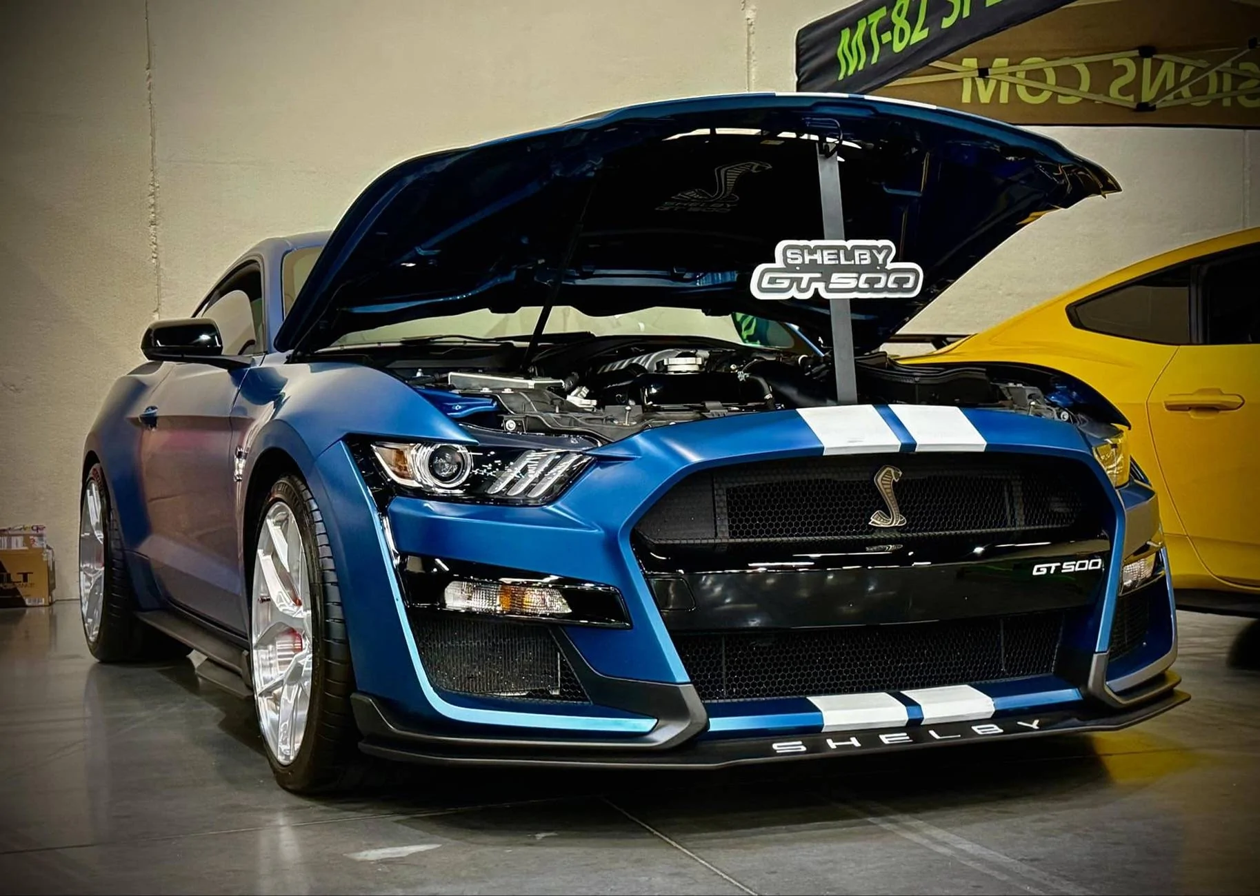 Velgen Ponies 2025.webp