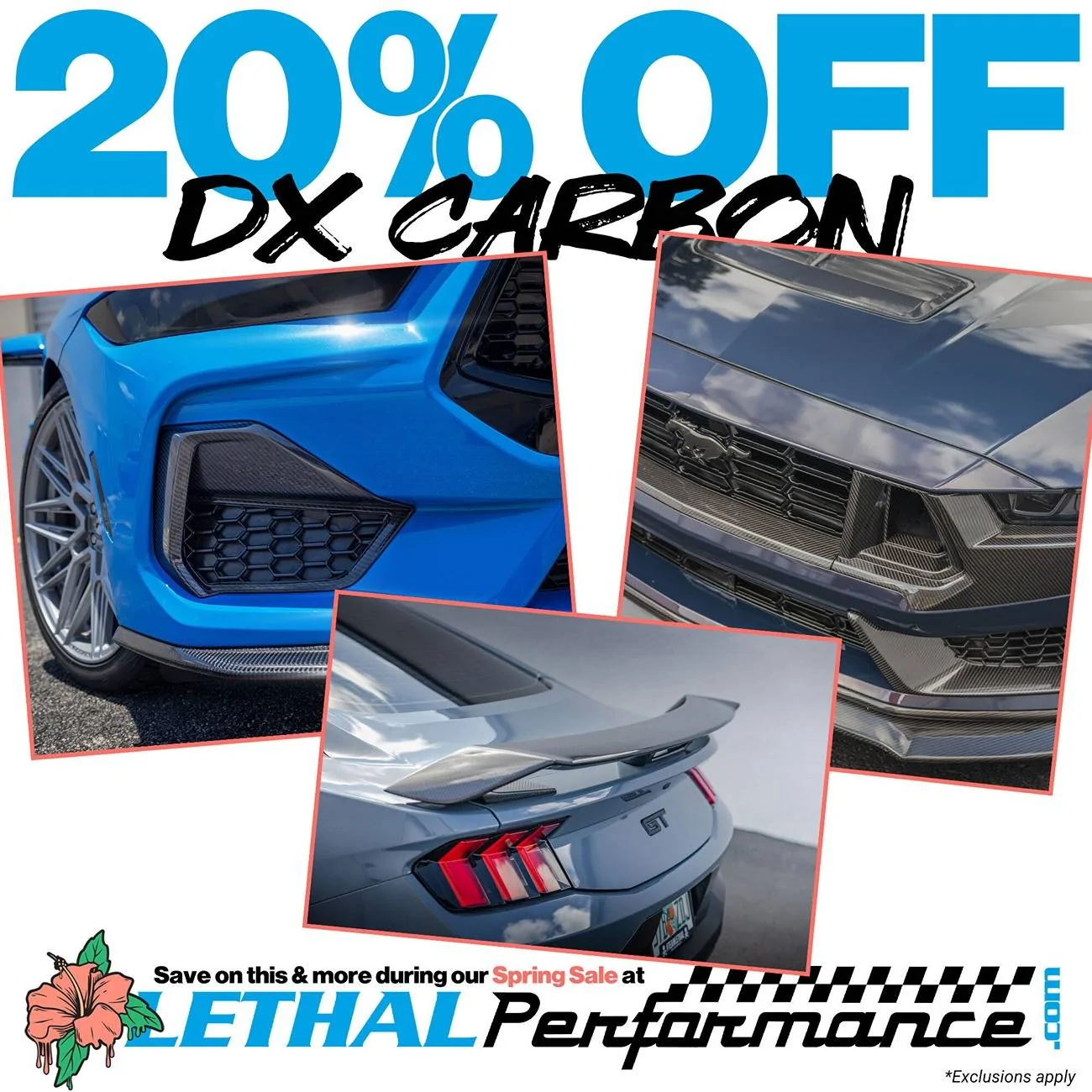dxcarbon (2).jpg