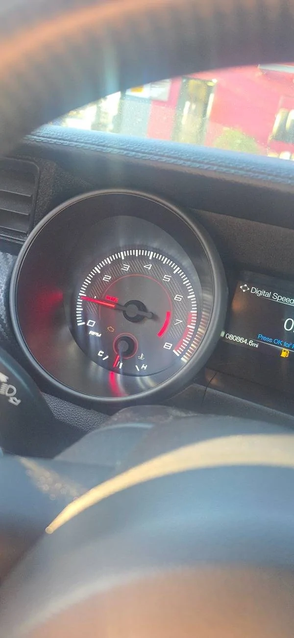 1000018240.jpg