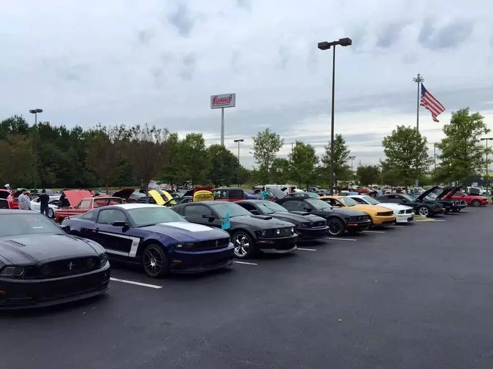 1744061251077-p1.jpg