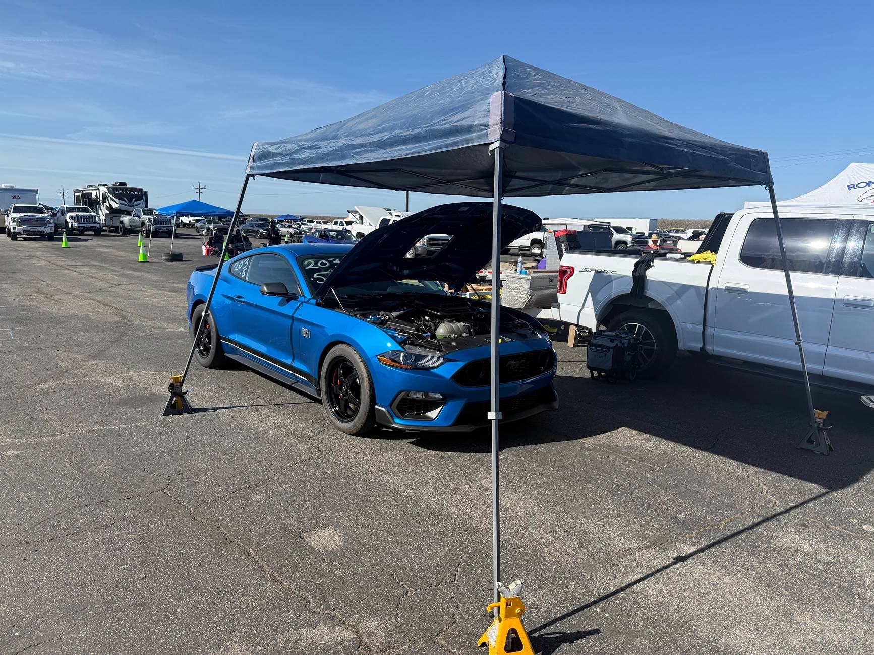IMG_4420.jpeg