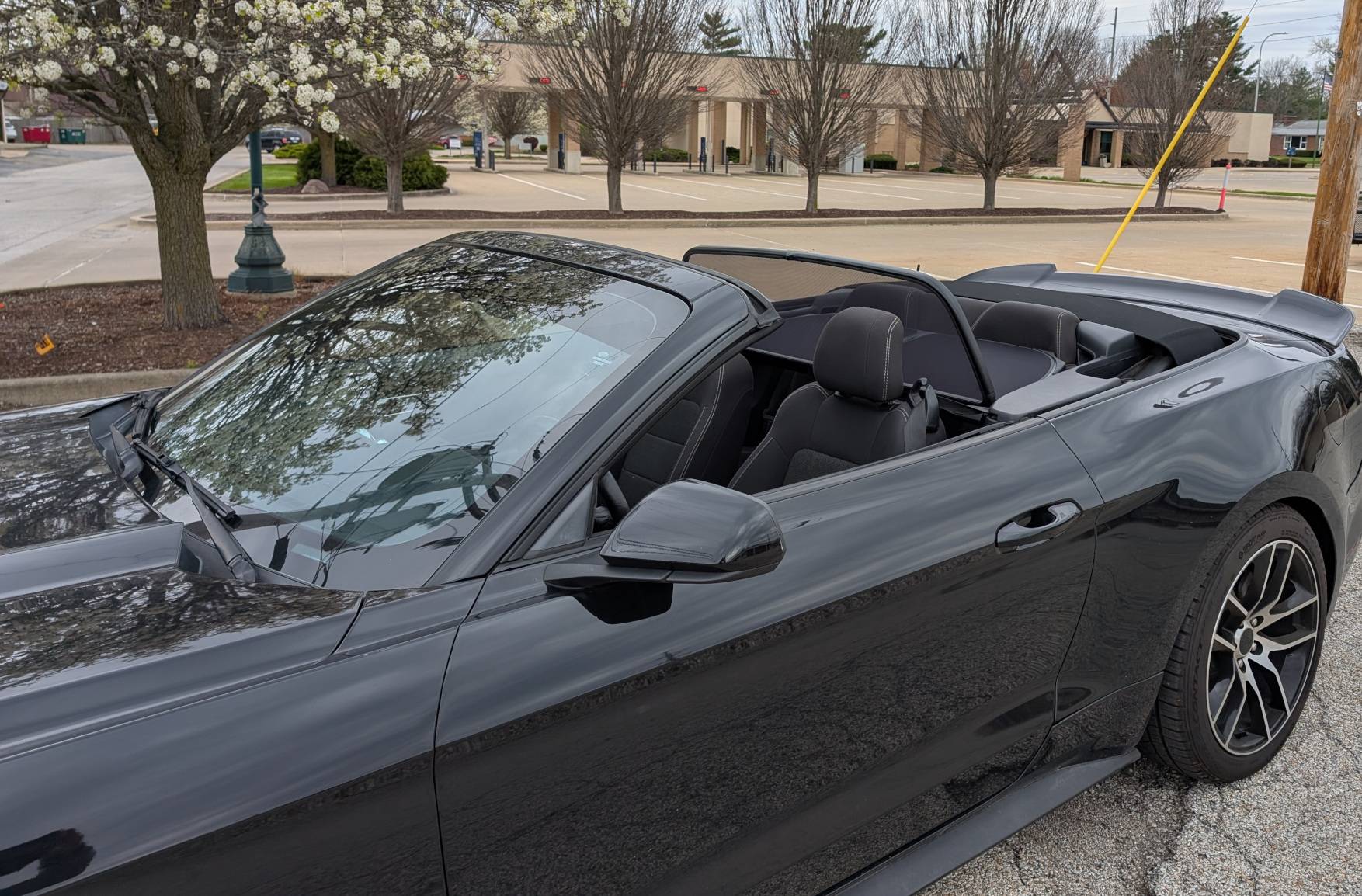 windScreen01.jpg