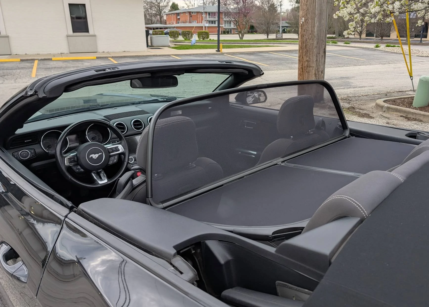 windScreen04.webp