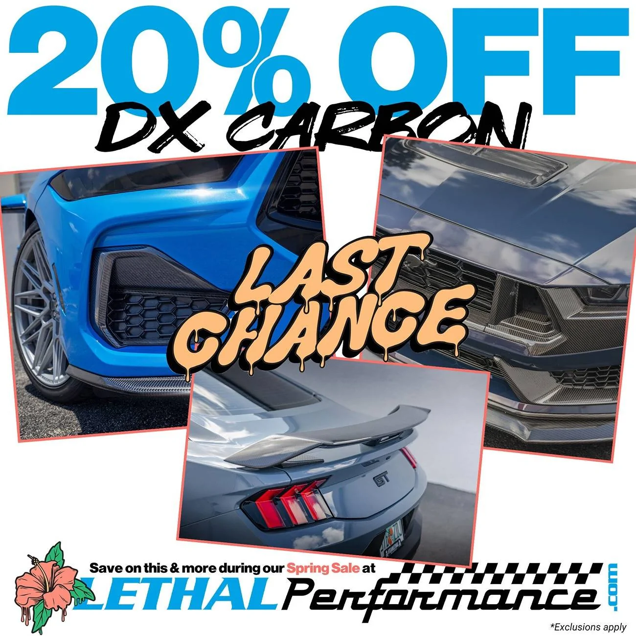 lp painteddx carbon (1).webp