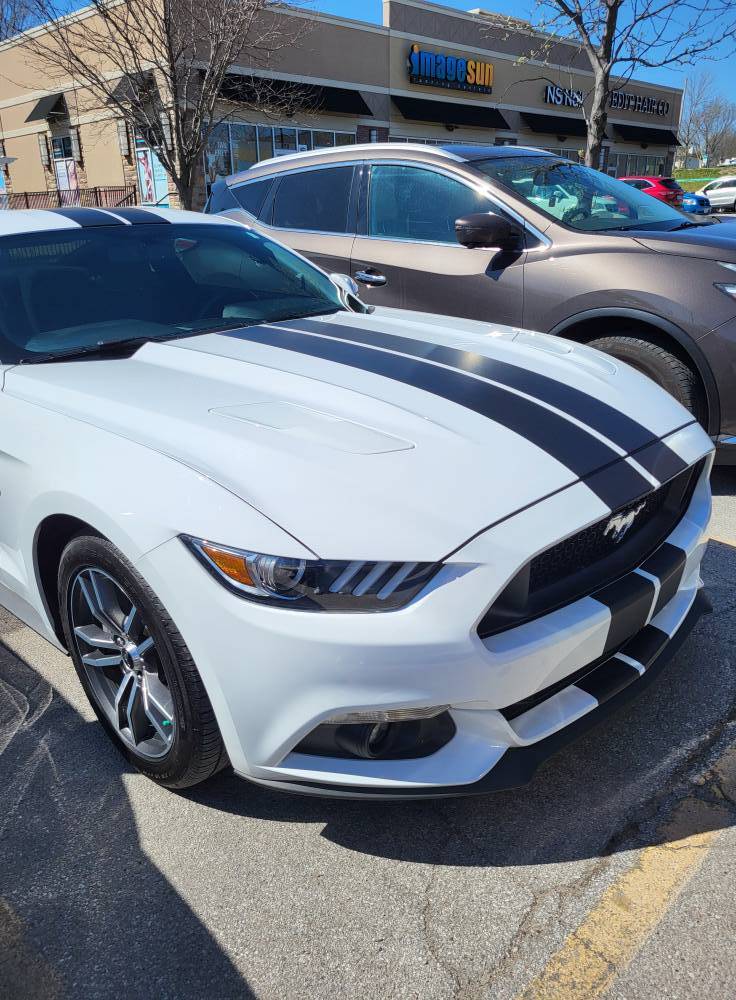 mustang_4_6_2024.jpg