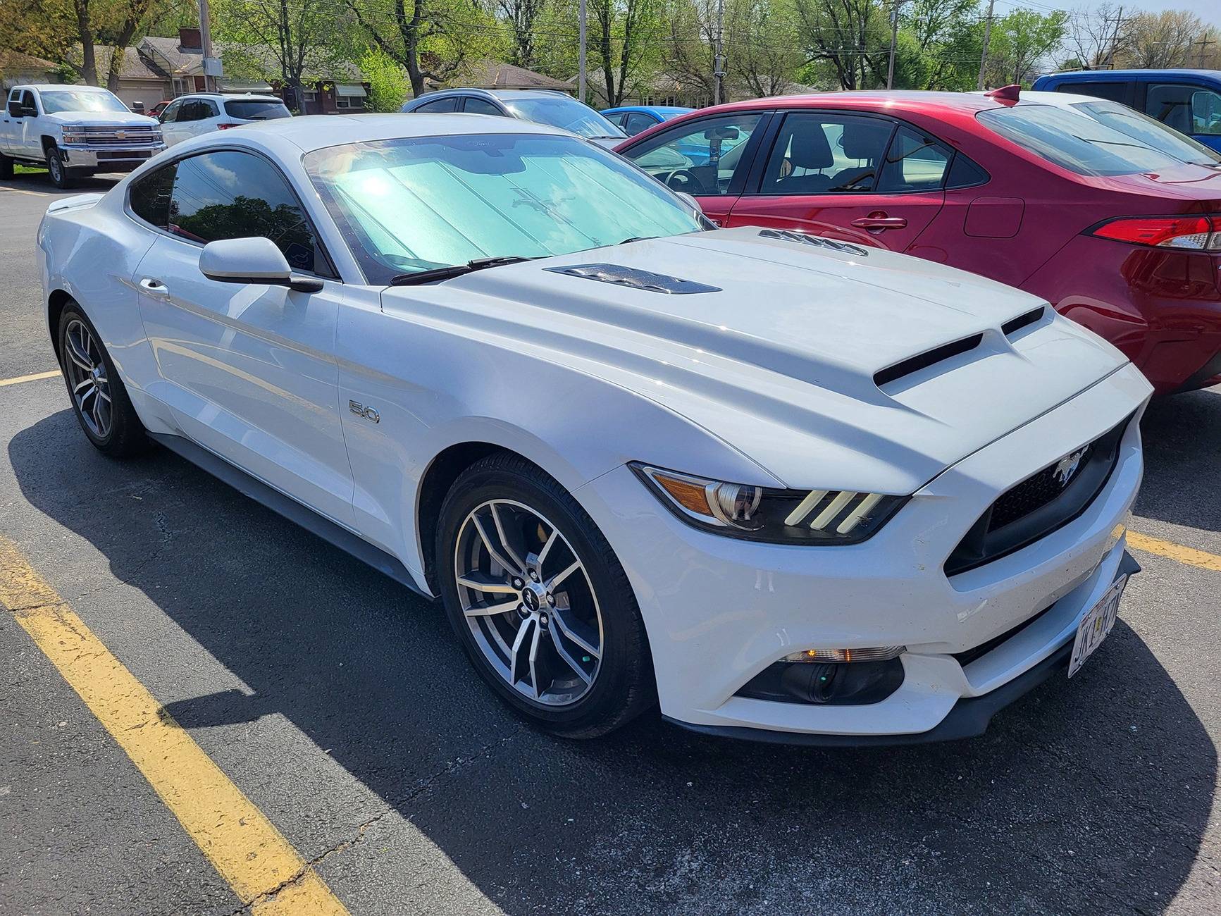 mustang_4_18_2025.jpg