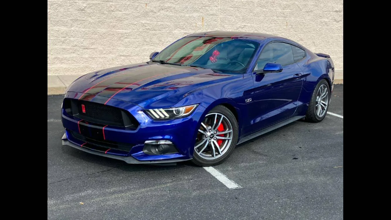 Mustang.webp