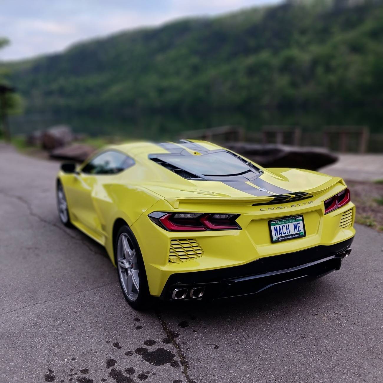 vette8.jpg