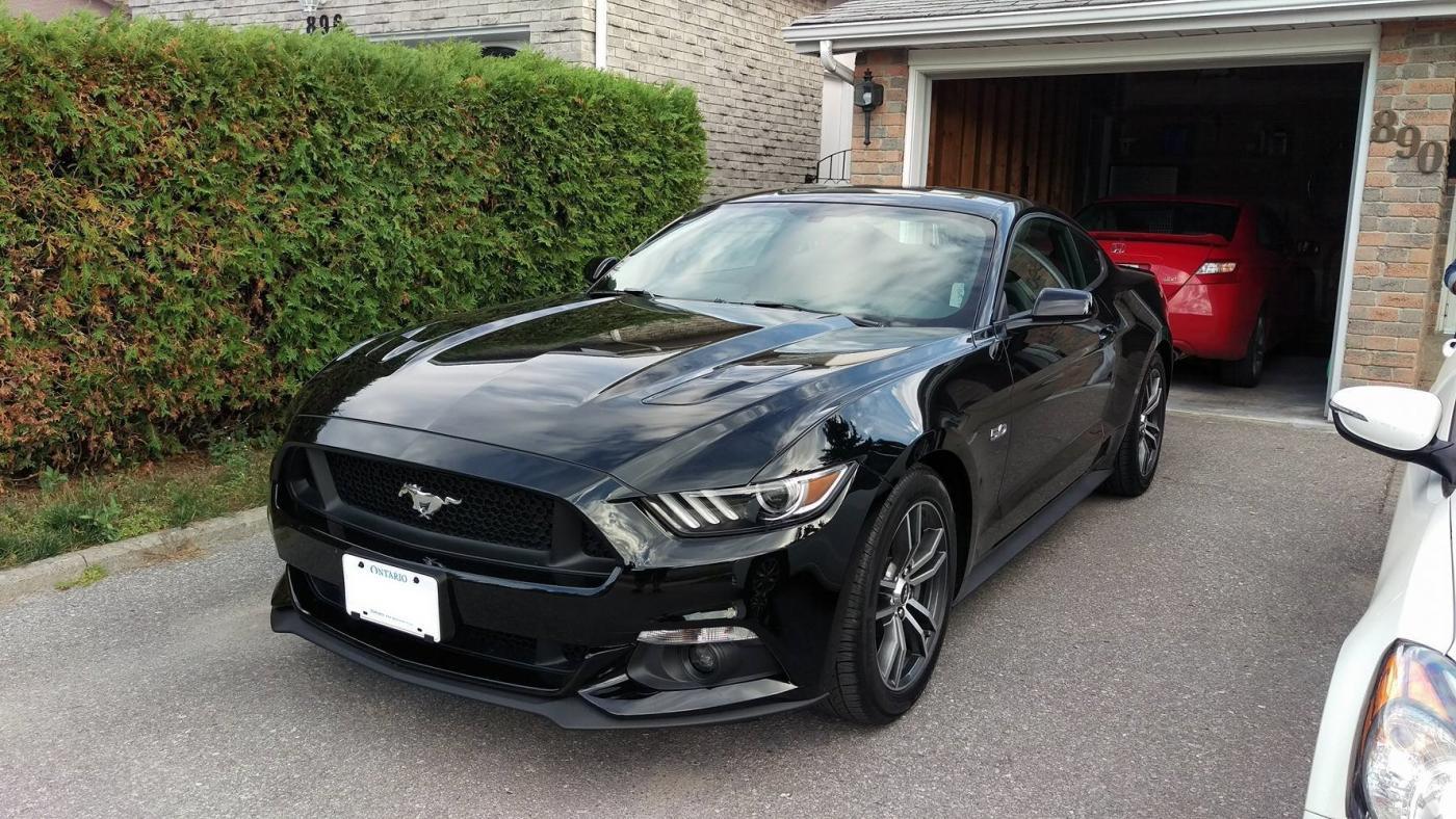 mystang17.jpg