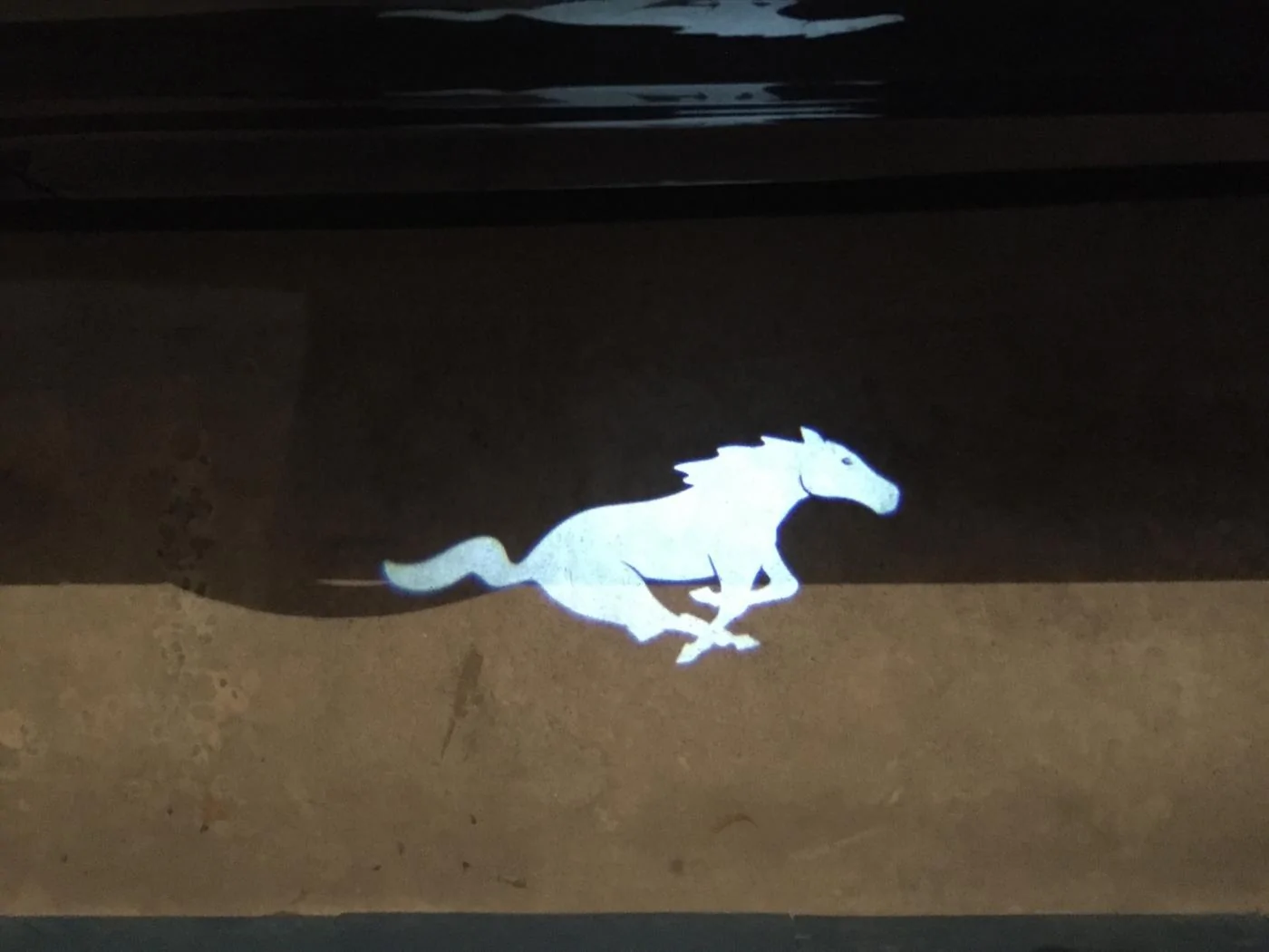 ponyangle.webp