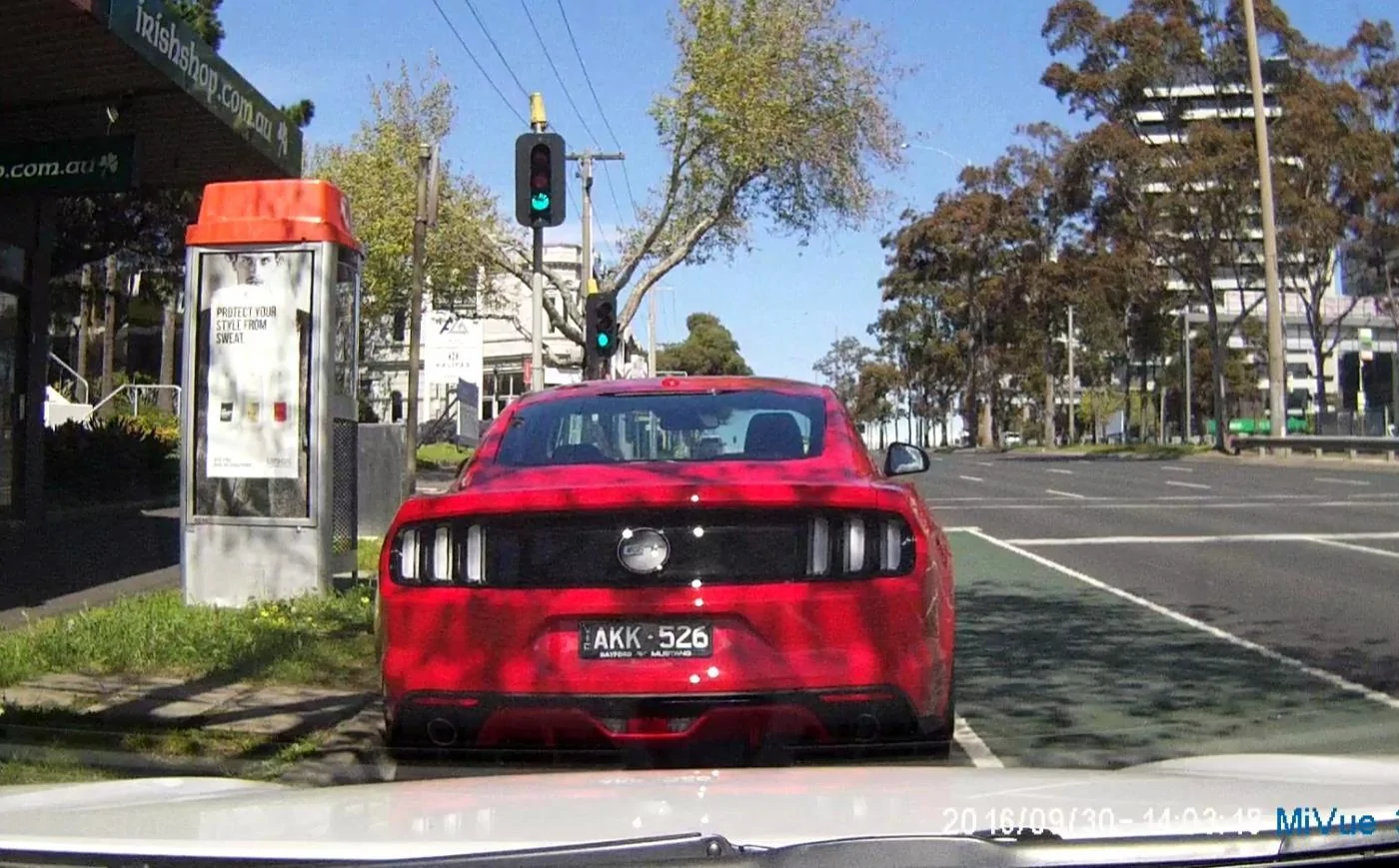 stang1.webp
