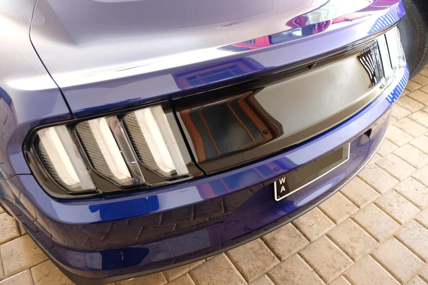 DSCF1738.webp