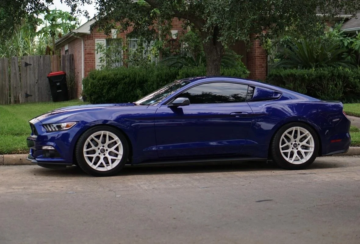 Eleanor 2.webp