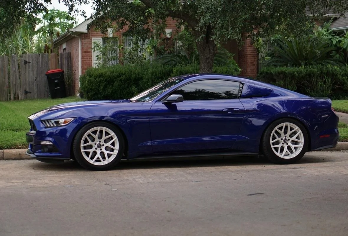 Eleanor 3.webp
