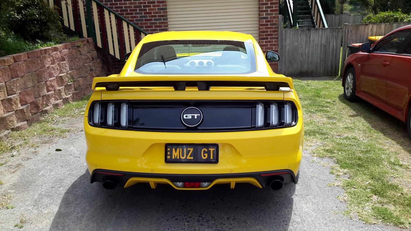 20161006_121754[1].jpg