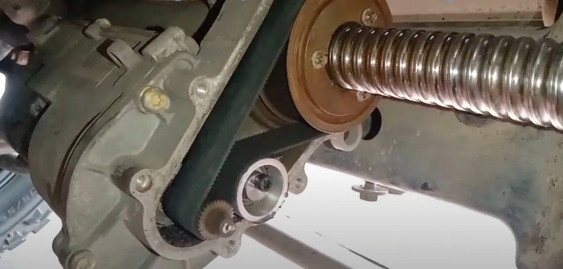 epas belt exposed.jpg