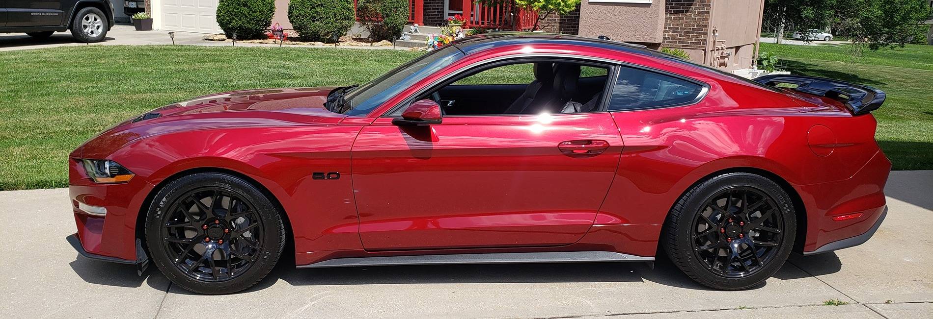 Mustang.jpg