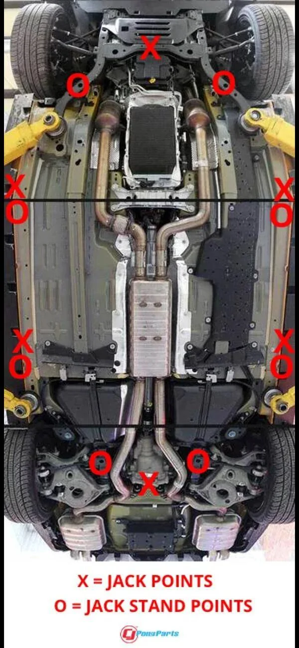 IMG_0970.webp