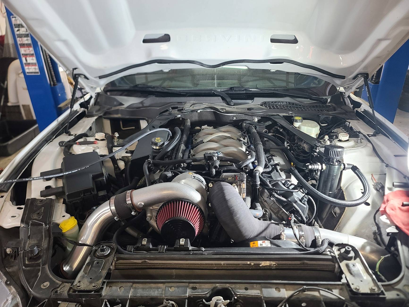 Mustang Supercharger.jpg