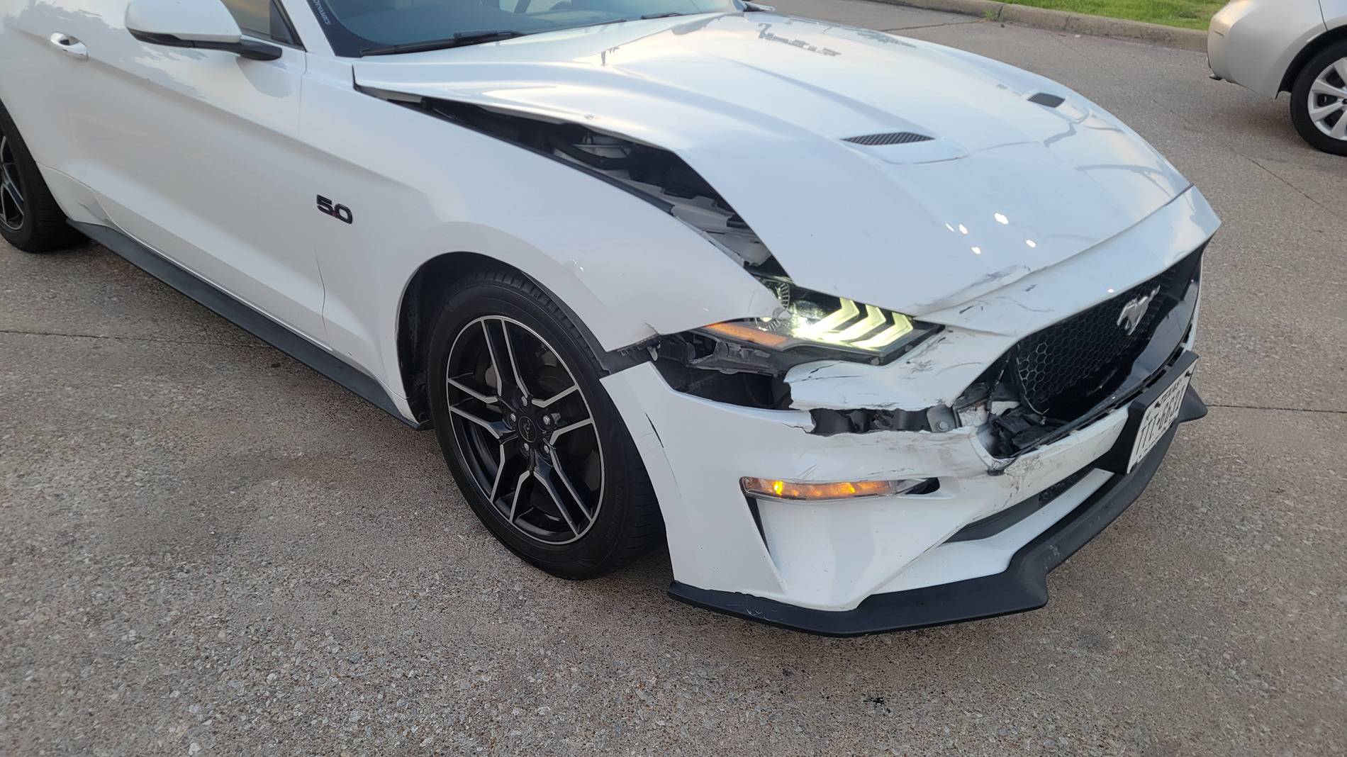 WORSTDAYEVERMUSTANG.jpg