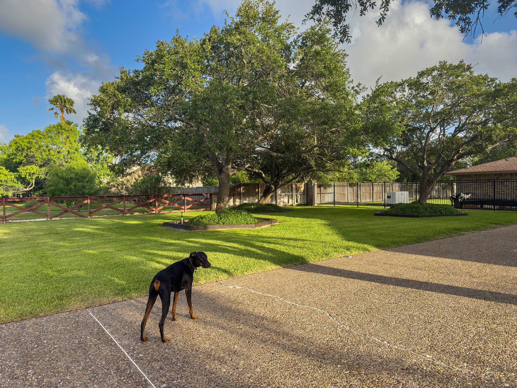 mowing_250607_01.jpg