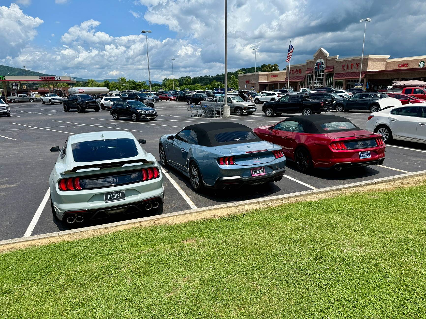 IMG_3305.jpeg