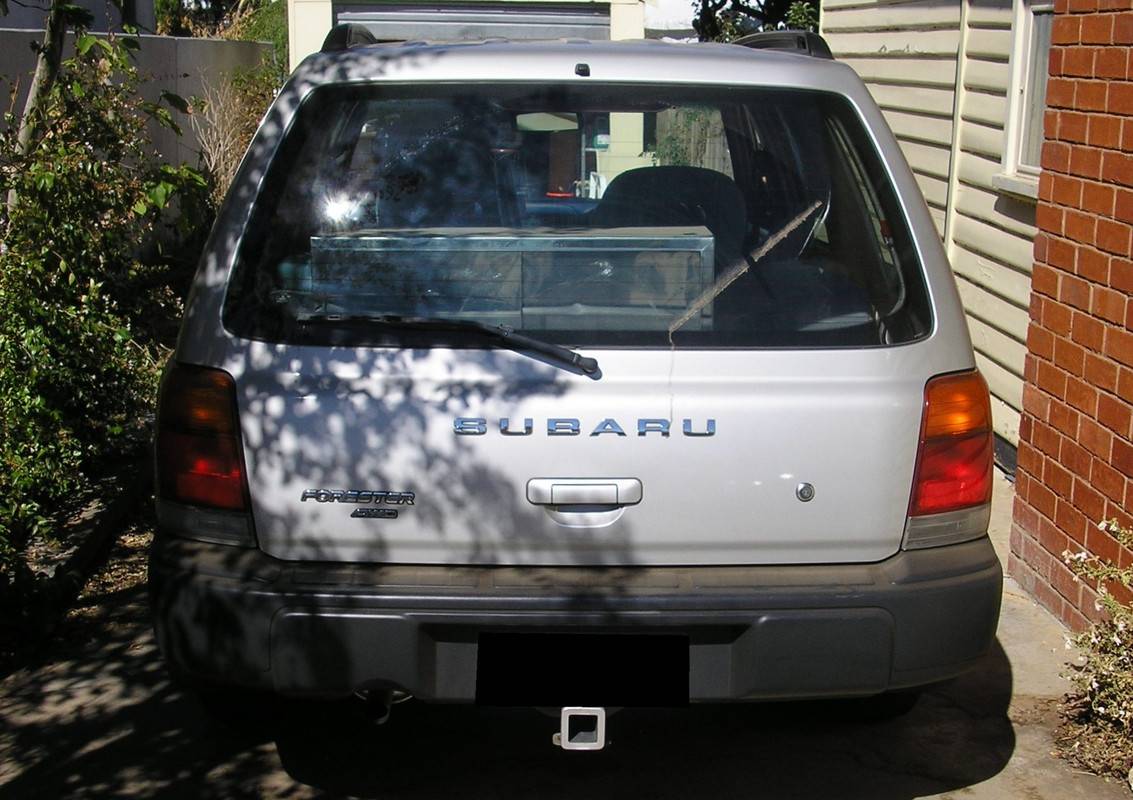 P1010064.jpg