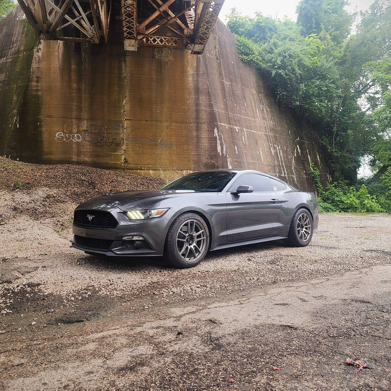moostang.jpg