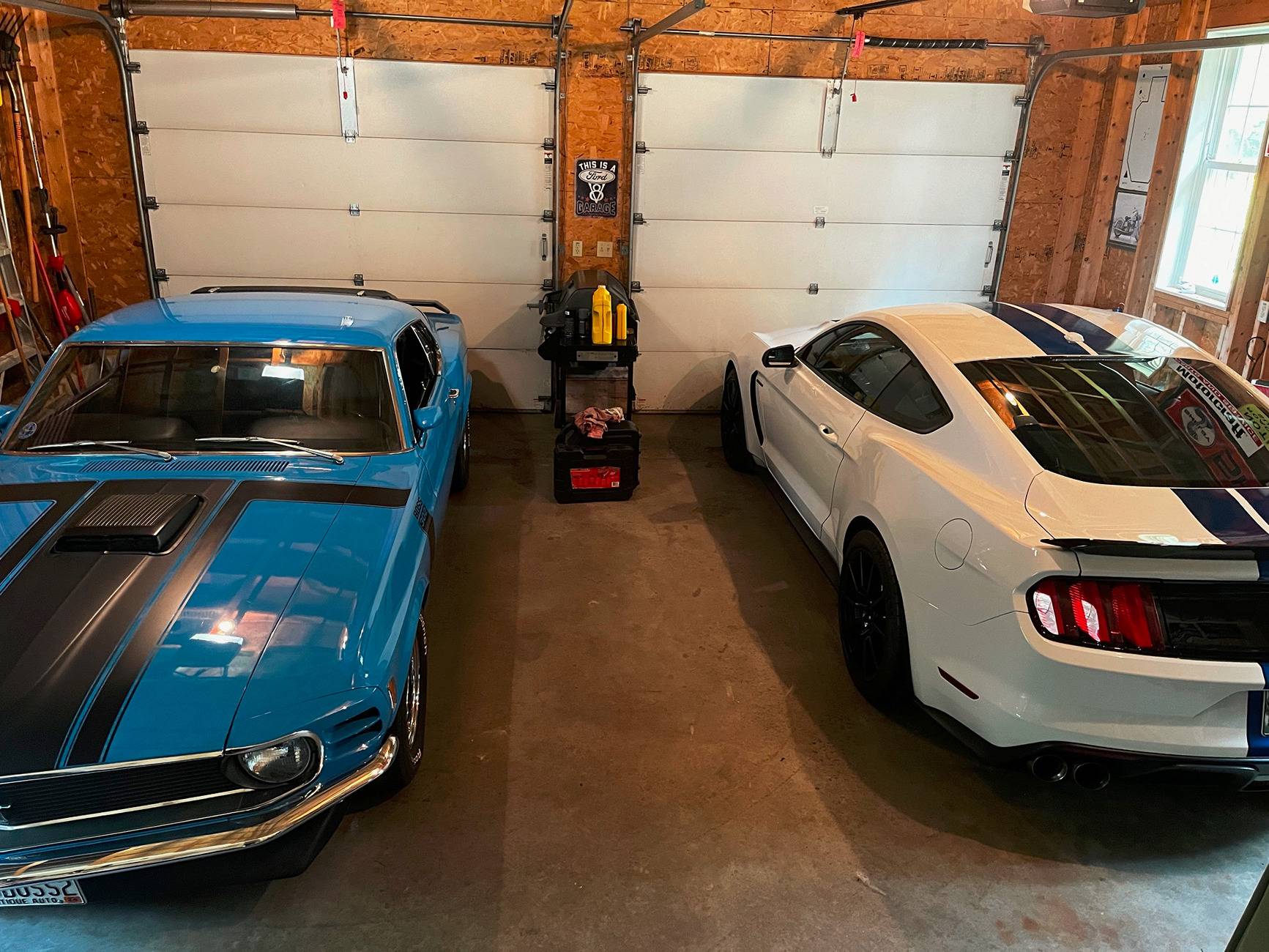 boss shelby.jpg
