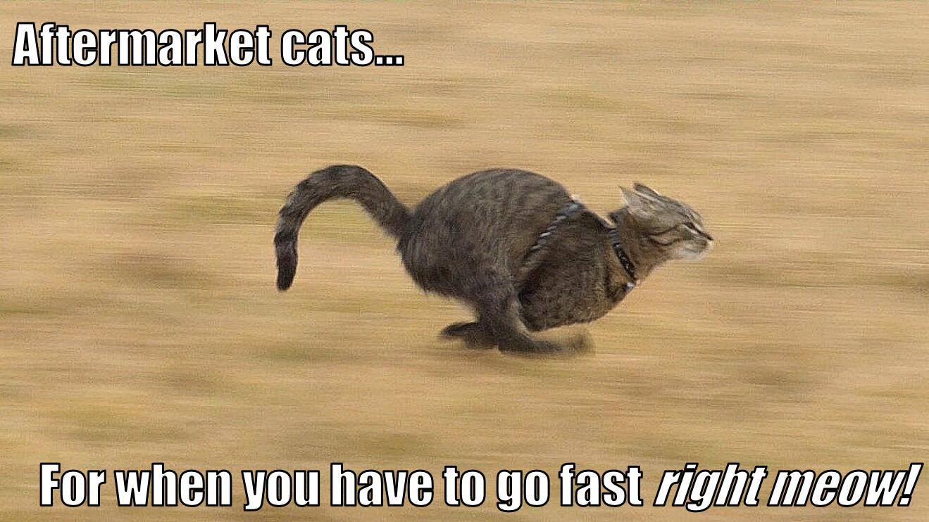 Aftermarket cats.jpg