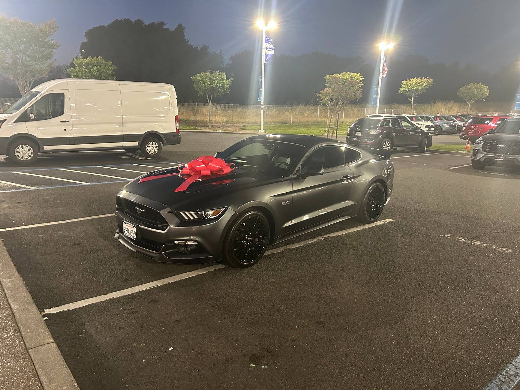 Stang01.jpg