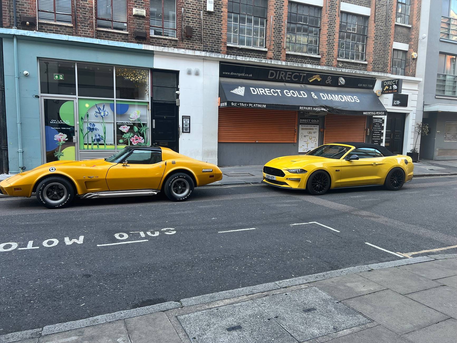IMG_5070.jpeg